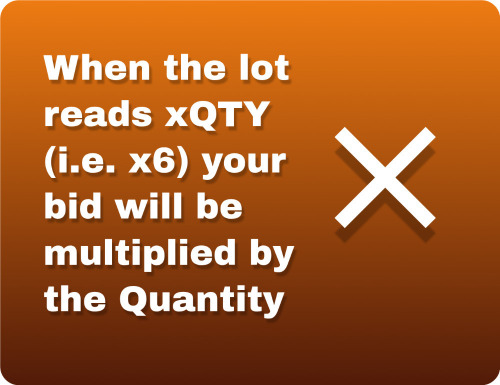 Your Bid will be Multiplied x Quantity Where xQTY is Stated