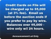 Credit Cards up to 5k charged (plus 3%); Over 5k due by Wire in 24 hrs.