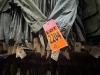 Collection of US Army OG-107 Jungle Jackets, Ripstop - 2