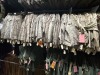 Collection of approx (100) of USMC MARPAT (post -2005/6 ) and other shirts, 2000s era USMC - 2
