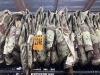 Collection of US Army Desert Camo Vests - 2