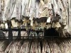 Collection of Army Tri-Color BDU Shirts & Pants, ripstop - 6