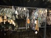 Collection of Military Clothing - 3