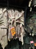 Collection of approx. (24) USMC Chocolate Chip Shirts, Poplin
