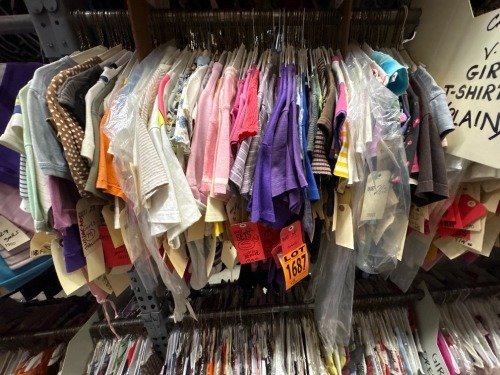 Collection of girl's t-shirts. Assorted sizes.