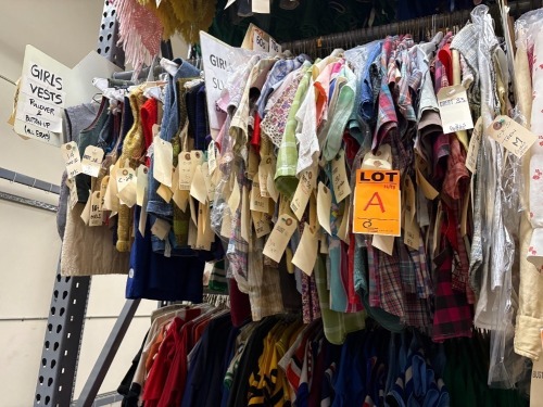 Collection of girl's vests, pullovers and short sleeve shirts. Assorted sizes.