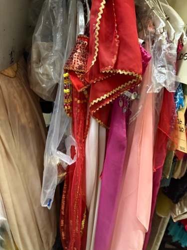 Collection of Harem Outfits