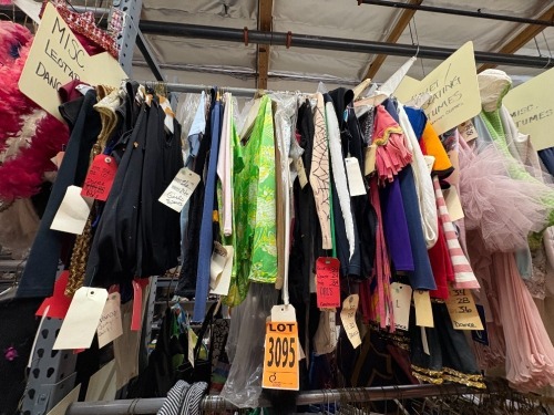 Collection of Dance Costumes, Leotards, misc. Costumes