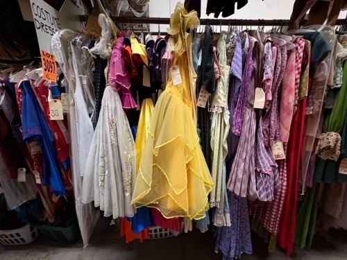 Collection of Costume Dresses