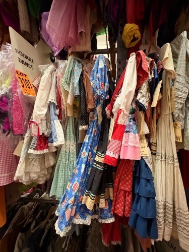 Collection of Square Dance Costumes