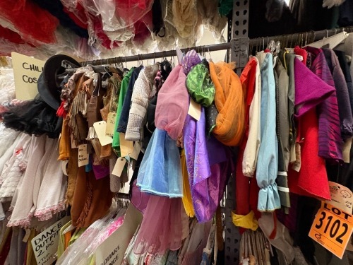Lot of 2 Collections - Children's Costumes AND Collection of Fitness, Aerobics, Yoga, Leotards Tops & Bottoms, 2pc Workout clothes