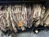 Collection of approx (70) US Army Jackets, Poplin - 3