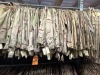Collection of approx (100) pcs of US Army Tri-Color Field Jackets (~18), BDU Shirts & Pants, Poplin/Cotton